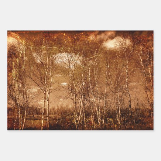 Bosbomen  Grunge Rustic Texture Clouds Inpakpapier Vel (Voorkant 3)