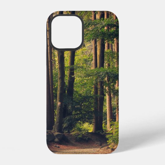 BOSBOMEN iPhone HOESJE (Achterkant)