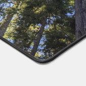 Bosbomen Landschap Bureaumat (Hoek)