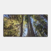 Bosbomen Landschap Bureaumat (Voorkant)