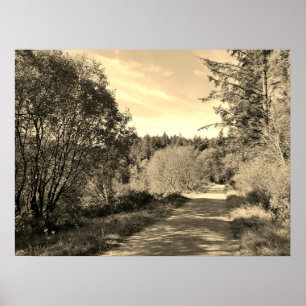 Bosbomen langs het looppad Prachtige dag Poste Poster