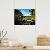 Bosbomen langs het looppad Prachtige dag Poste Poster (Keuken)