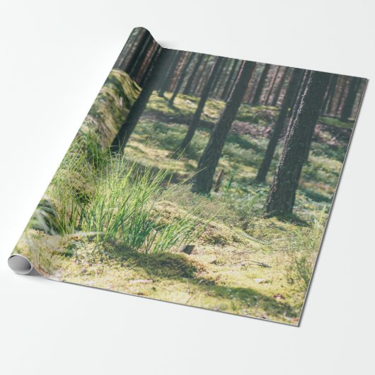 Bosbomen. natuur groene zonlicht cadeaupapier (Uitgerold)