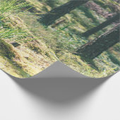 Bosbomen. natuur groene zonlicht cadeaupapier (Hoek)