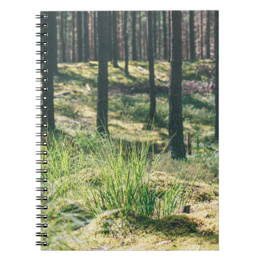 Bosbomen. natuur groene zonlicht notitieboek (Voorkant)