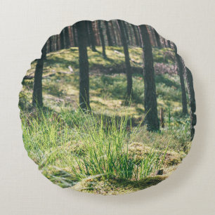 Bosbomen. natuur groene zonlicht rond kussen