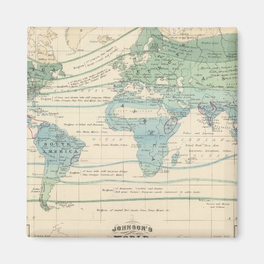 Bosbomen, nuttige Planten en mineralen Magneet (Voorkant)