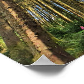 Bosbomen Poster (Hoek)