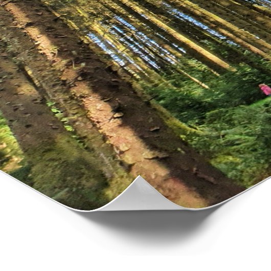 Bosbomen Poster (Hoek)