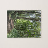 Bosbomen Puzzel (Horizontaal)