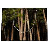 Bosbomen tijdens de zonsondergang groot cadeauzakje (Voorkant)