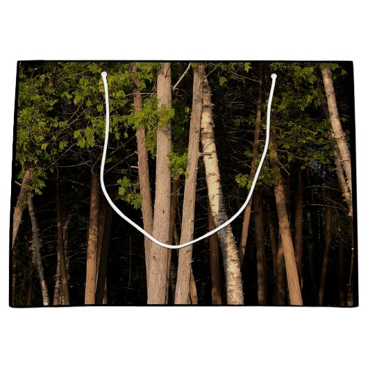 Bosbomen tijdens de zonsondergang groot cadeauzakje (Voorkant)