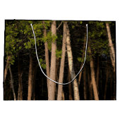 Bosbomen tijdens de zonsondergang groot cadeauzakje (Achterkant)