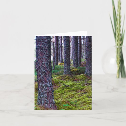 Bosbomen Wenskaart Kaart (Voorkant)