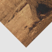 Bosboom Oud Antiek Rustieke Textuur Tissuepapier (Detail)