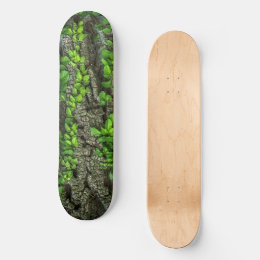Bosboomschaarplaat Persoonlijk Skateboard (Voorkant)
