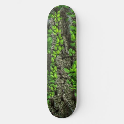 Bosboomschaarplaat Persoonlijk Skateboard (Voorkant)