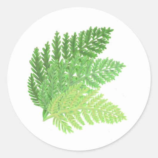 Bosbos groene varens bosvarens bladeren ronde sticker (Voorkant)