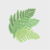 Bosbos groene varens bosvarens bladeren sticker (Voorkant)