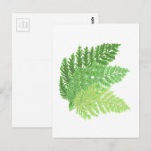 Bosbos groene varens bosvarens briefkaart (Voorkant / Achterkant)