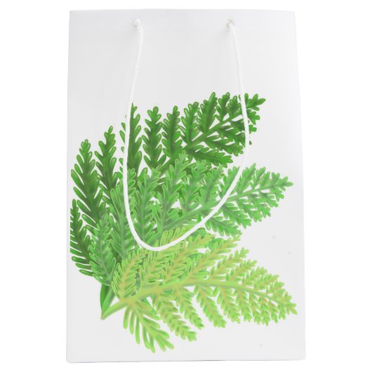 Bosbos groene varens bosvarens medium cadeauzakje (Voorkant)