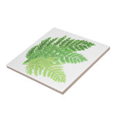 Bosbos groene varens bosvarens tegeltje (Zijkant)