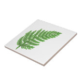 Bosbos groene varens bosvarens tegeltje (Zijkant)