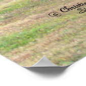 Bosbos Poster van de gumbolieboom (Hoek)