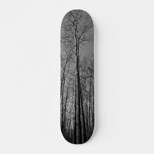 Bosbos Skateboard (Voorkant)