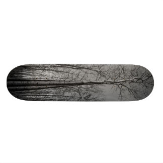 Bosbos Skateboard