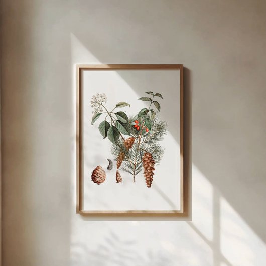 Bosbotanisch – Dennenappel en Bes  Poster
