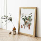 Bosbotanisch – Dennenappel en Bes  Poster