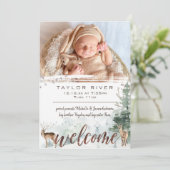 Bosbouwbos Pine Deer Fotoaankondiging Aankondiging (Staand voorkant)