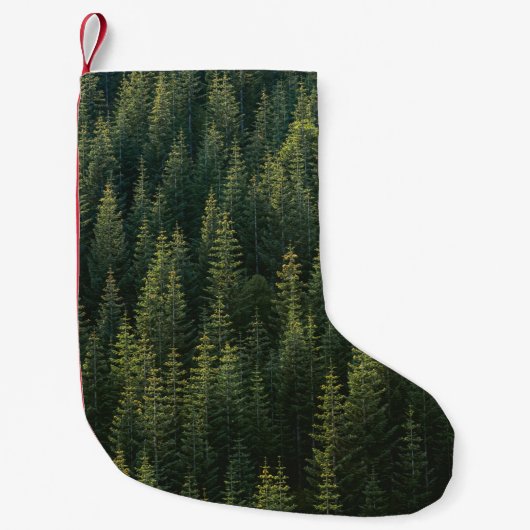 BOSBOUWFOTO KLEINE KERSTSOK (Voorkant)