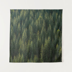 BOSBOUWFOTO WANDKLEED