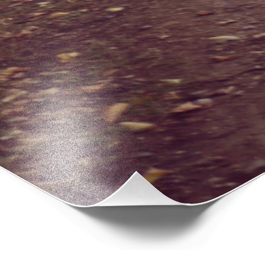 Bosbouwlijn Foto Afdruk (Hoek)