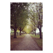 Bosbouwlijn Foto Afdruk (Voorkant)