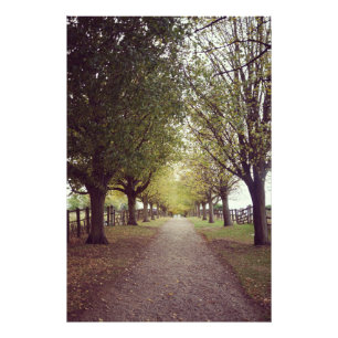 Bosbouwlijn Foto Afdruk