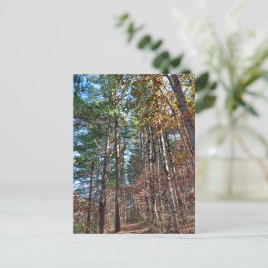 Bosbouwpad Briefkaart (Staand voorkant)