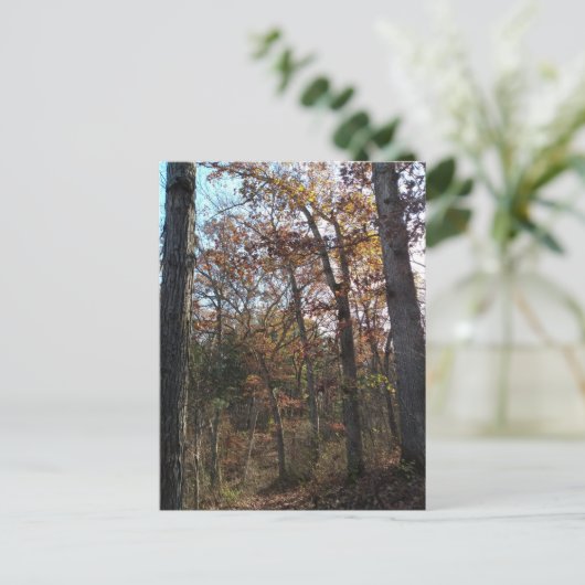 Bosbouwpad Briefkaart (Staand voorkant)