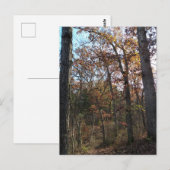 Bosbouwpad Briefkaart (Voorkant / Achterkant)