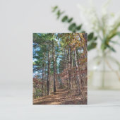 Bosbouwpad Briefkaart (Staand voorkant)