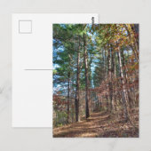 Bosbouwpad Briefkaart (Voorkant / Achterkant)