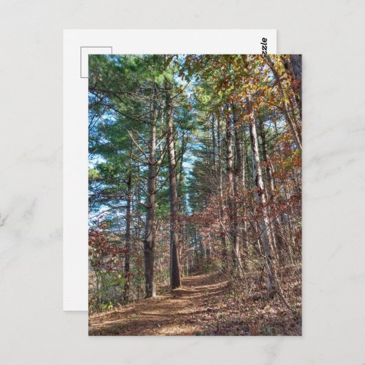 Bosbouwpad Briefkaart (Voorkant / Achterkant)