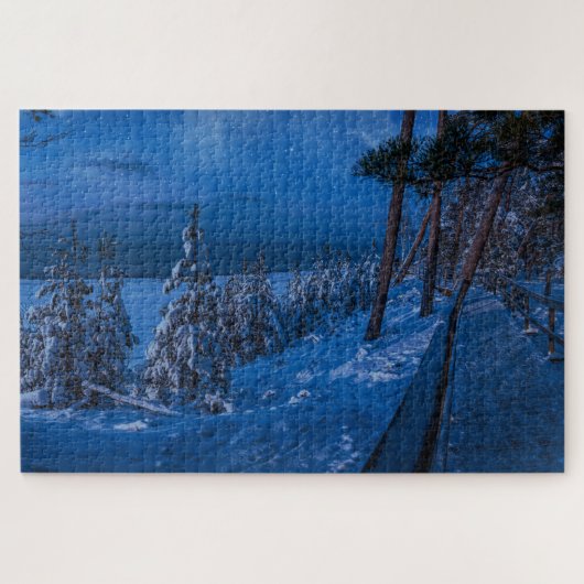Bosbouwpad in winternacht puzzel (Horizontaal)