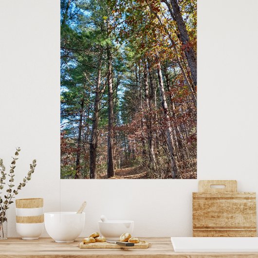 Bosbouwpad Poster (Keuken)