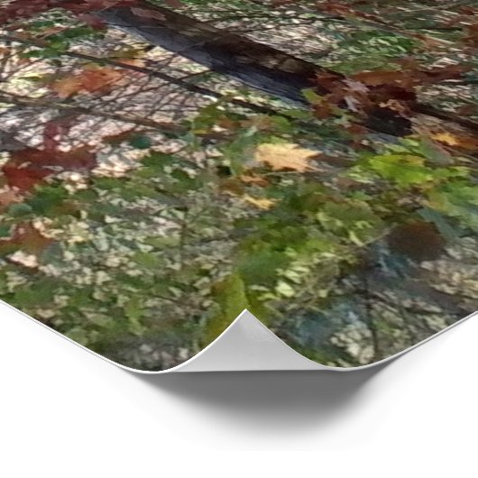 Bosbouwpad Poster (Hoek)