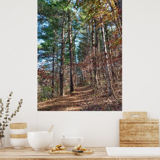 Bosbouwpad Poster (Keuken)