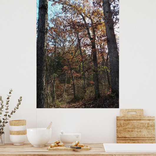 Bosbouwpad Poster (Keuken)