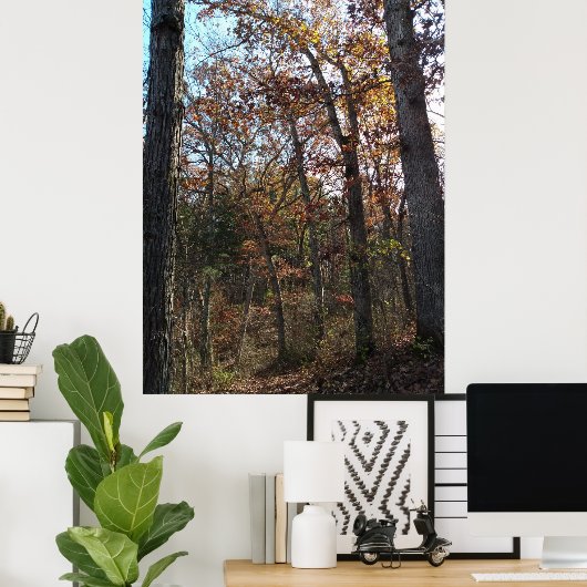 Bosbouwpad Poster (Thuiskantoor)